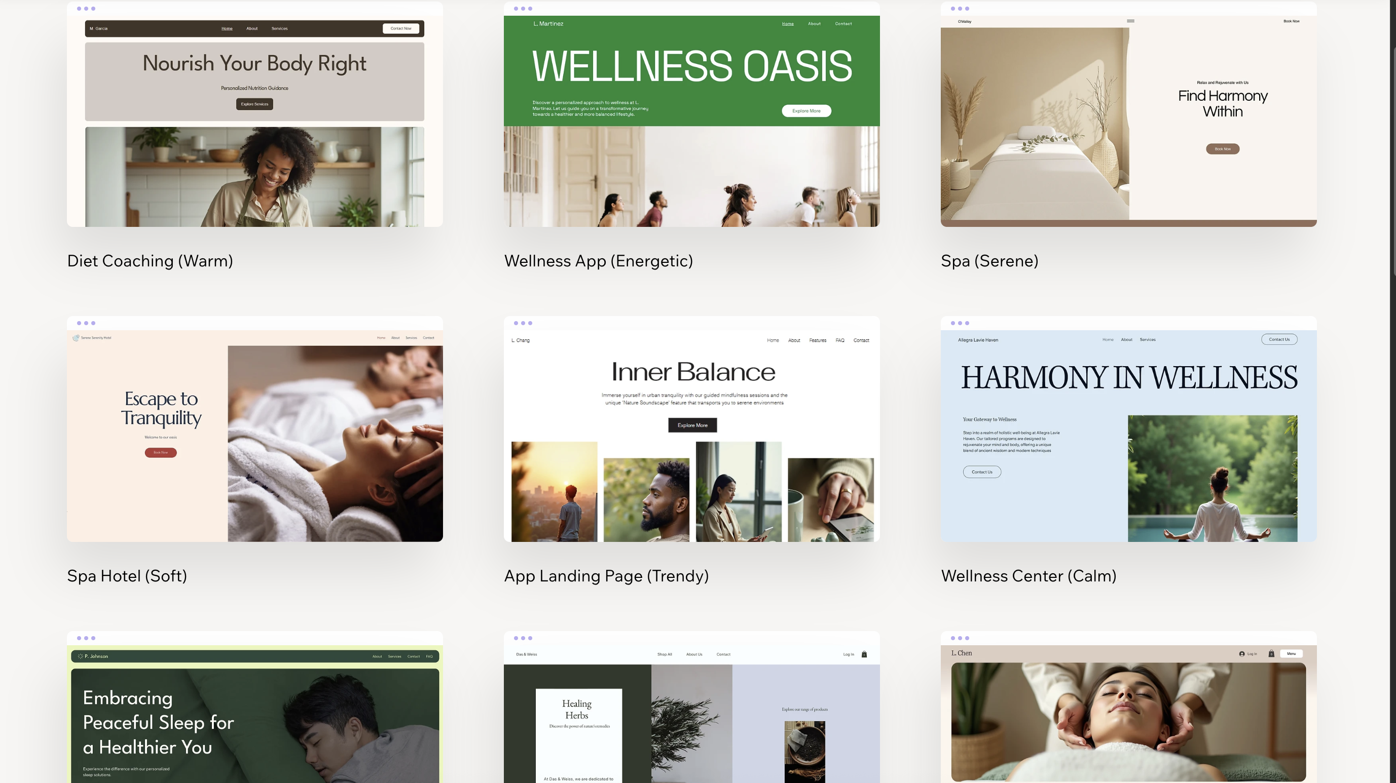 Web Design Client Showcase 1